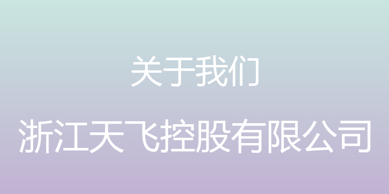 关于我们 - 浙江天飞控股有限公司