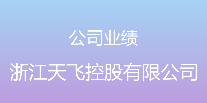 公司业绩 - 浙江天飞控股有限公司